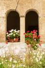 Romania, Transylvania, Sibiu County. Flowers Art Print